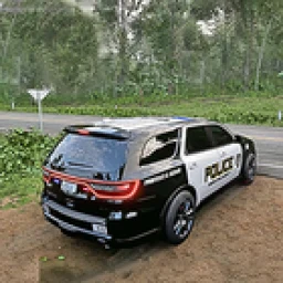 US Police Prado Parking 3D 图标
